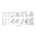 thumbnail image 2 of Placas de estampado de uñas con diseño de personajes extravagantes, plantillas para decoración de uñas, imágenes de líneas de arte de uñas, 2 of 2