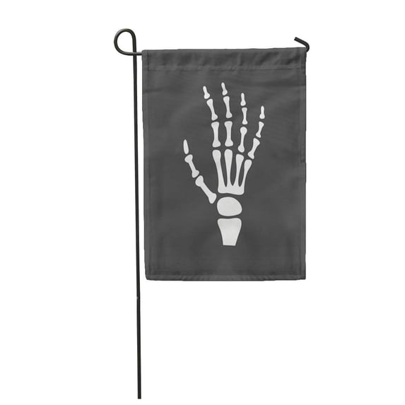 KDAGR X Ray Bones Skeletonicon Can Also Be Healthcare Garden Flag Decorative Flag House Banner 28x40 inch