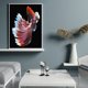 thumbnail image 3 of Wdftyju Pescado 40x50cm pintura al óleo por números cuadro pintura DIY (M677) Wdftyju 5vh5fc9wn3rr6pp8D04, 3 of 9