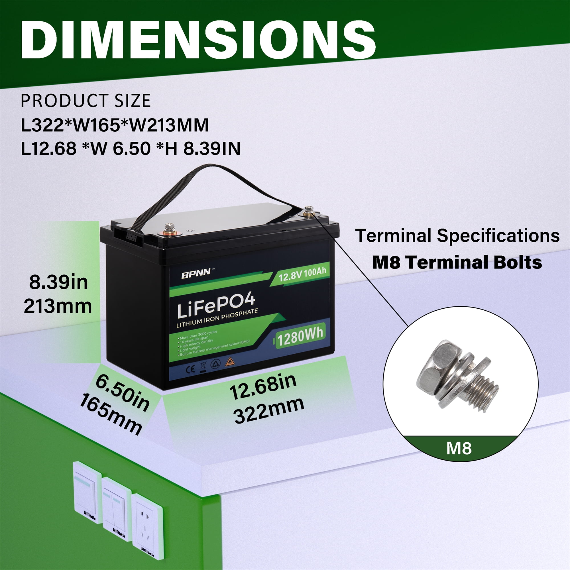BPNN LiFePO4 Battery 12V 100Ah Deep Cycles Battery 12V Lithium Battery for RV Home Backup