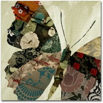 Trademark Fine Art "Butterfly Brocade III" Canvas Art by Color Bakery
