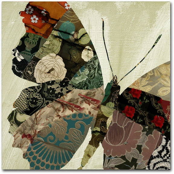 Trademark Fine Art "Butterfly Brocade III" Canvas Art by Color Bakery