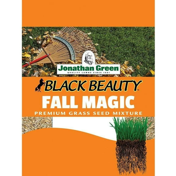 Jonathan Green 10765 Fall Magic Grass Seed Mix, 3 Pounds Tw k
