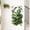 As shown, variant on Tropical Breaking Wall Simulation Green Plants Wall Decals, Self Adhesive Peel And Stick Vinyl Wall Stickers For Indoor Home Decor, Suitable For Living Room, Study Room, Bedroom,