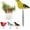 Yellow, variant on Soil Moisture Meter, Bird Shape Plant Water Tester Hygrometer Gardening Tool, Portable Watering Alarm Chirping Bird Plant Water Tester for Indoor Outdoor Plants Garden Decorations