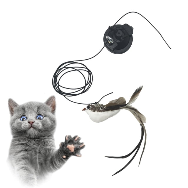 Juguetes para varita de plumas de gato interactiva, ventosa potente, juguete de varita de pájaro de plumas de gato, para herramienta de , Salvador Juguetes de palo de gato