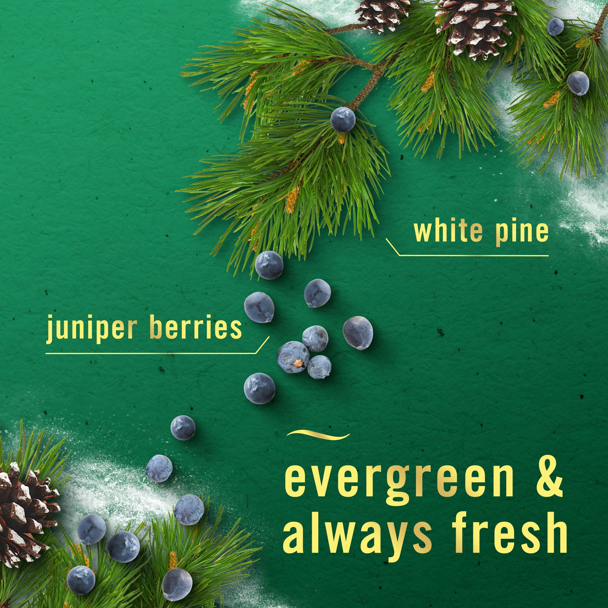 Febreze Plug In Air Freshener, Odor-Fighting Scented Oil Refill, White Pine & Berry, 4 Refill