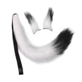 thumbnail image 4 of Conjunto de orejas y cola de piel sintética de peluche, disfraz, decoración, regalo, tocado Blanco negro, 4 of 8