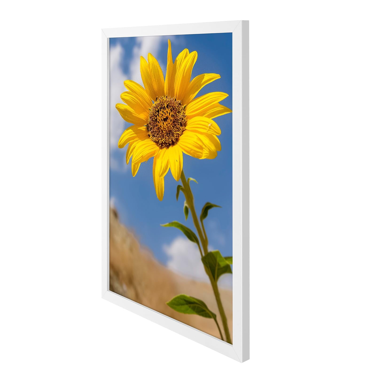 Golden State Art A2 16.5x23.4 Inch Picture Frames with Plexiglass, White, Set of 2