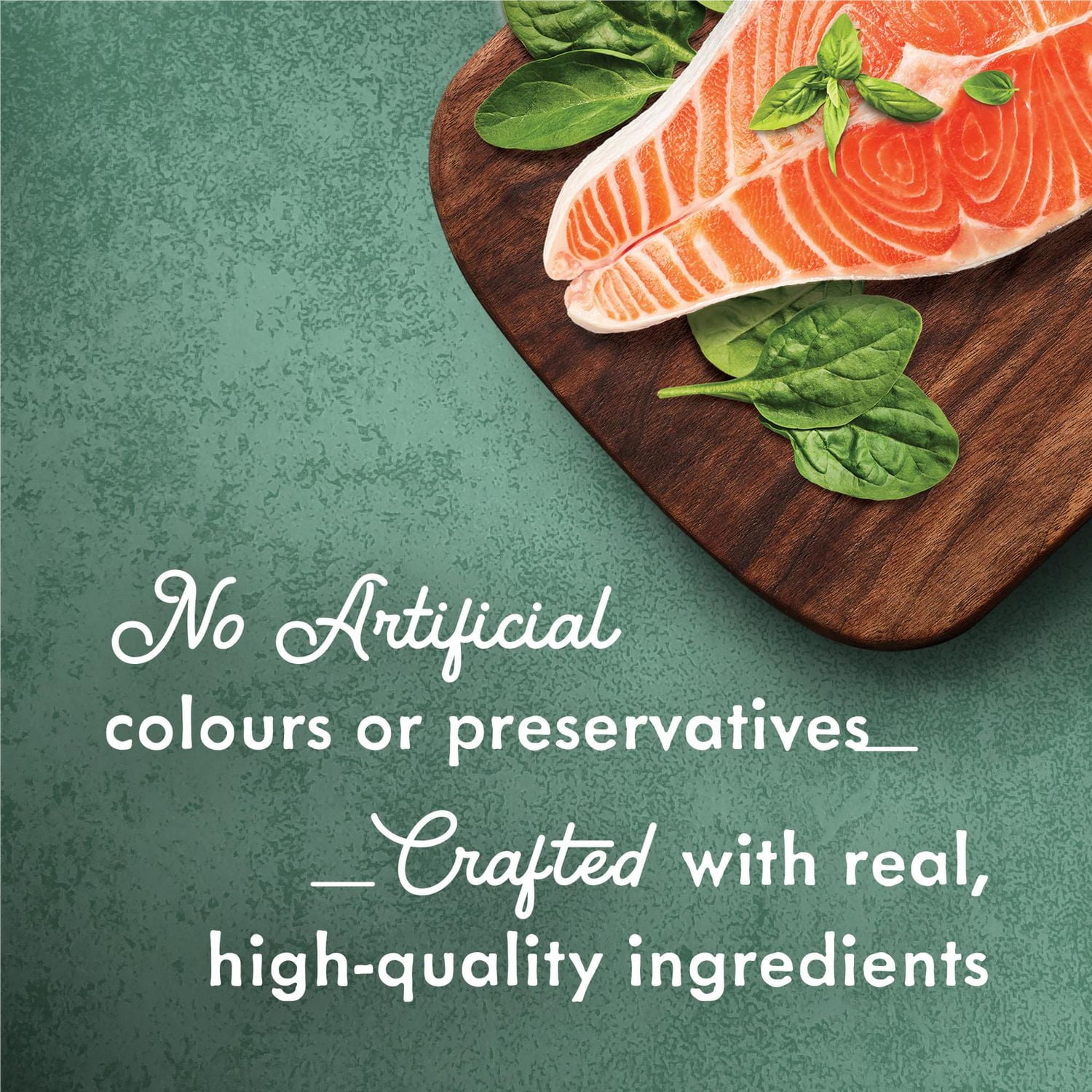 Fancy Feast Medleys Plat de Saumon Sauvage en Lanières dans une Sauce Savoureuse, Nourriture Humide pour Chats 85 g 85 g