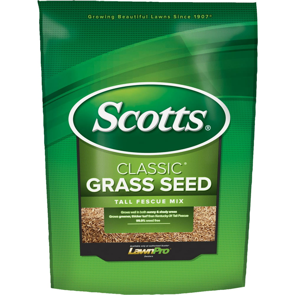 Scotts Classic Tall Fescue Grass Seed