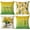 A-summer 17, variant on Set of 4 Sunflower Pillow Covers 12x20 Spring Summer Pillow Covers Yellow Floral Throw Pillow Covers Cushion Covers Lumbar Pillow Cases for Couch Sofa Patio Outdoor Home Decorations(12X20)