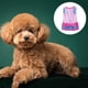 thumbnail image 3 of Collar de perro con lazo Traje de perro con estampado de leopardo y lunares Disfraz de perro Disfraz de perro, 3 of 5