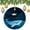 Pattern, variant on Ornament Sea Animals Humpback Whale 3" Circle Ceramic Ornament Blue Whale Starry Night Christmas Tree Ceramic Ornament Decoration Gifts Keepsake for Family