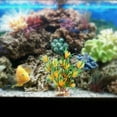 thumbnail image 1 of Aquarium Simulation Plants, Plastic  Water Plants Sand Base For FishDecoration Landscape With High Degree Of Simulation, Long Service Time, 1 of 8