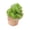 Green, variant on Ice Cream Shape Slow Rise Squishy, Cute & Fun Sensory for Stress Relief, Realistic Dessert Simulation Fidget, Decompression Novelty, Handheld Sweet Treat​