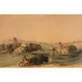 thumbnail image 2 of George Catlin 24x17 Gold Ornate Framed and Double Matted Museum Art Print Titled - Buffalo Hunt, Chase (1844), 2 of 4