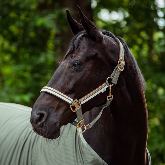 Horze Montauk Halter