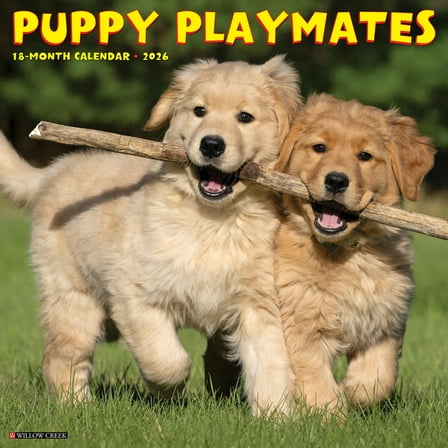 Puppy Playmates 2026 Wall Calendar, (Paperback)