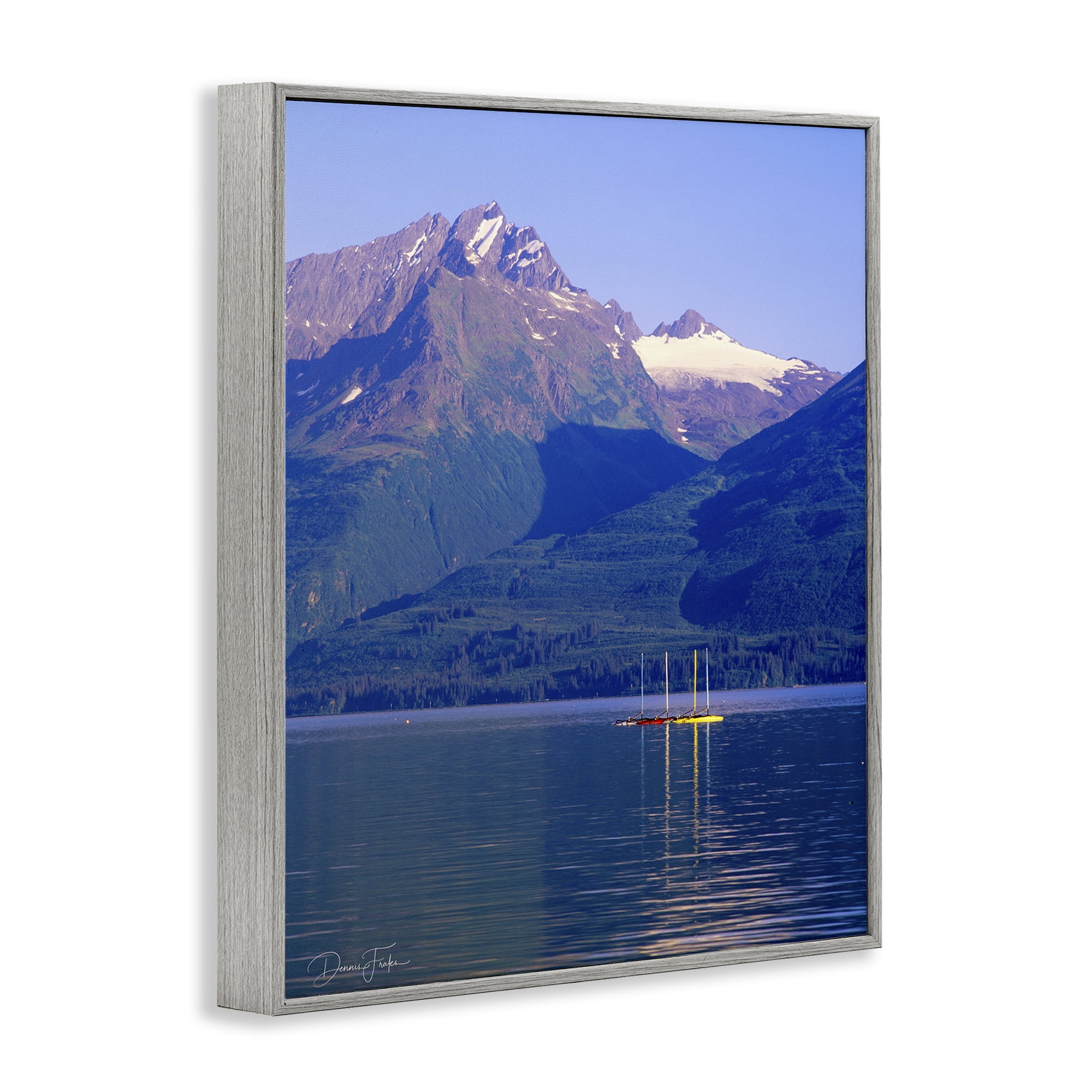 Stupell Industries Lake View Photography Landscape Photography Gray Framed Art Print Wall Art, 16 x 20