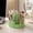 Green, variant on Rotating Pen Holder for Desk, 360° Swivel Multi-Compartment Organizer, Lightweight Desktop Storage Caddy for Office Supplies, Makeup Brushes & Art Tools