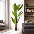 thumbnail image 2 of Enova Floral 72 inches Artificial Banana Tree in Black Nursery Pot, 2 of 5
