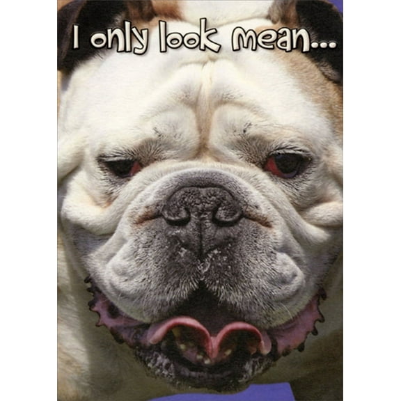 Designer Greetings Only Look Mean Bulldog Funny : Humorous Dog Birthday Card