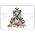 thumbnail image 2 of Pipsqueak Productions C563 Pug Cartes en Boîte de Vacances, 2 of 2