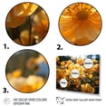 thumbnail image 3 of Designart "Yellow Buttercups landscape Sunrise IV" Floral Floater Framed Wall Decor, 3 of 7