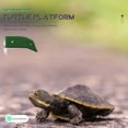 thumbnail image 1 of BESTYASH 2Pack Random Color Turtle Ramps for Reptile Pets 14.00X8.00X5.00CM, 1 of 6