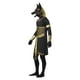 Anubis le Chacal Adulte Grand Costume – image 3 sur 3