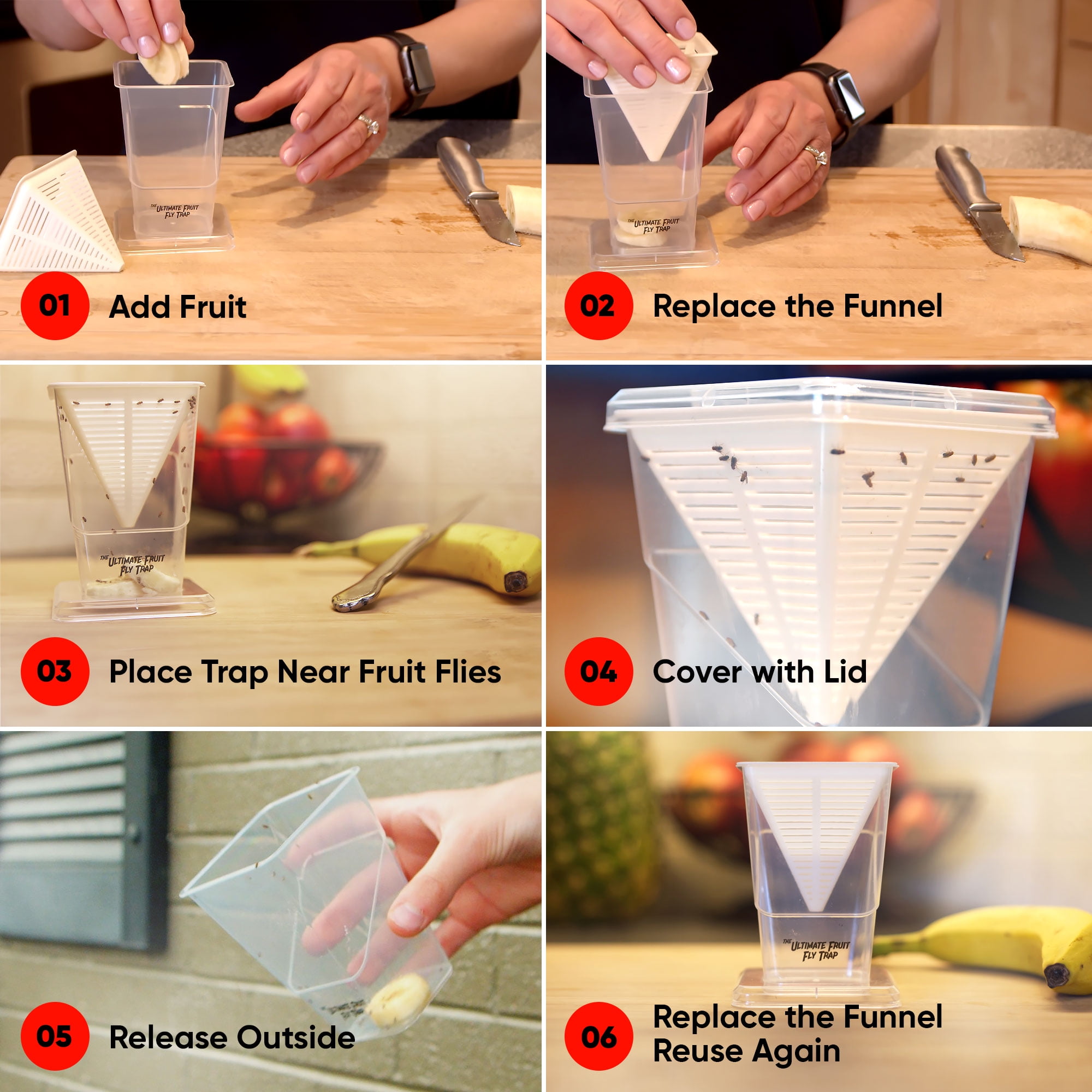  Fruit Fly Trap for Indoor- Non-Toxic Insects Bait