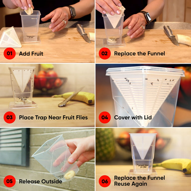  The Ultimate Fruit Fly Trap (Pack of 2) - Indoor Kitchen  Non-Toxic Reusable Traps Catches or Kills Fruit Flies with Natural Bait or  Lure : Patio, Lawn & Garden