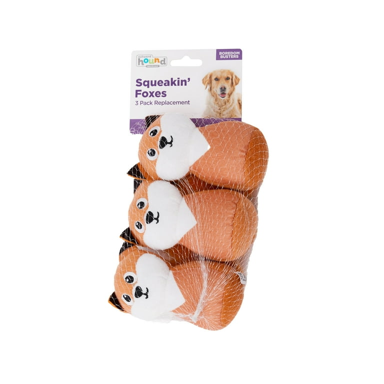 Toy fox clearance hound