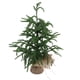thumbnail image 1 of Mini Árbol De Navidad, Pet Green Green Artificial Christmas Tree Tabletop Exhibición Con Puntas De Nieve Para La Decoración Del Hogar De Vacaciones Centro De Comedor, 1 of 7