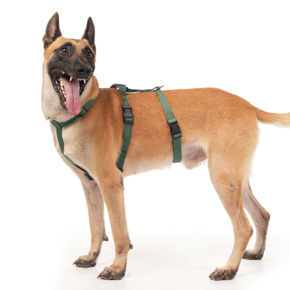 Escape Proof Dog Harness, No Pull Harness with Lift Handle, Adjustable Pet Vest with Front and Back Leash Clips for Medium Large Dogs Walking Hiking Training