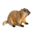 thumbnail image 4 of segolike Groundhog Toy Collectibles Home Decoration Realistic Simulation Animal Model Style C, 4 of 9