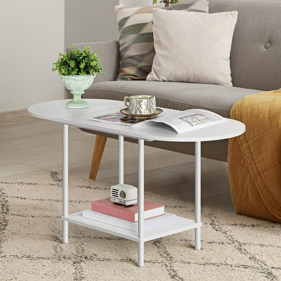 Small Oval Modern Low Coffee Table for Small Spaces - Mid Century Center/Side Table with Open Shelving | Storage, Display & Living Room/Home Office Furniture