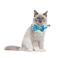 thumbnail image 1 of LSLJS Puppy Whelping Collars Newborn Pet Collars, 12 Colors Identification Id Collars Bands Whelp Puppy Dog Pet, 1 of 2