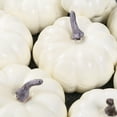 thumbnail image 5 of COUTEXYI 12 Pack Halloween White Plastic Artificial Pumpkins for Decor DIY, 5 of 9
