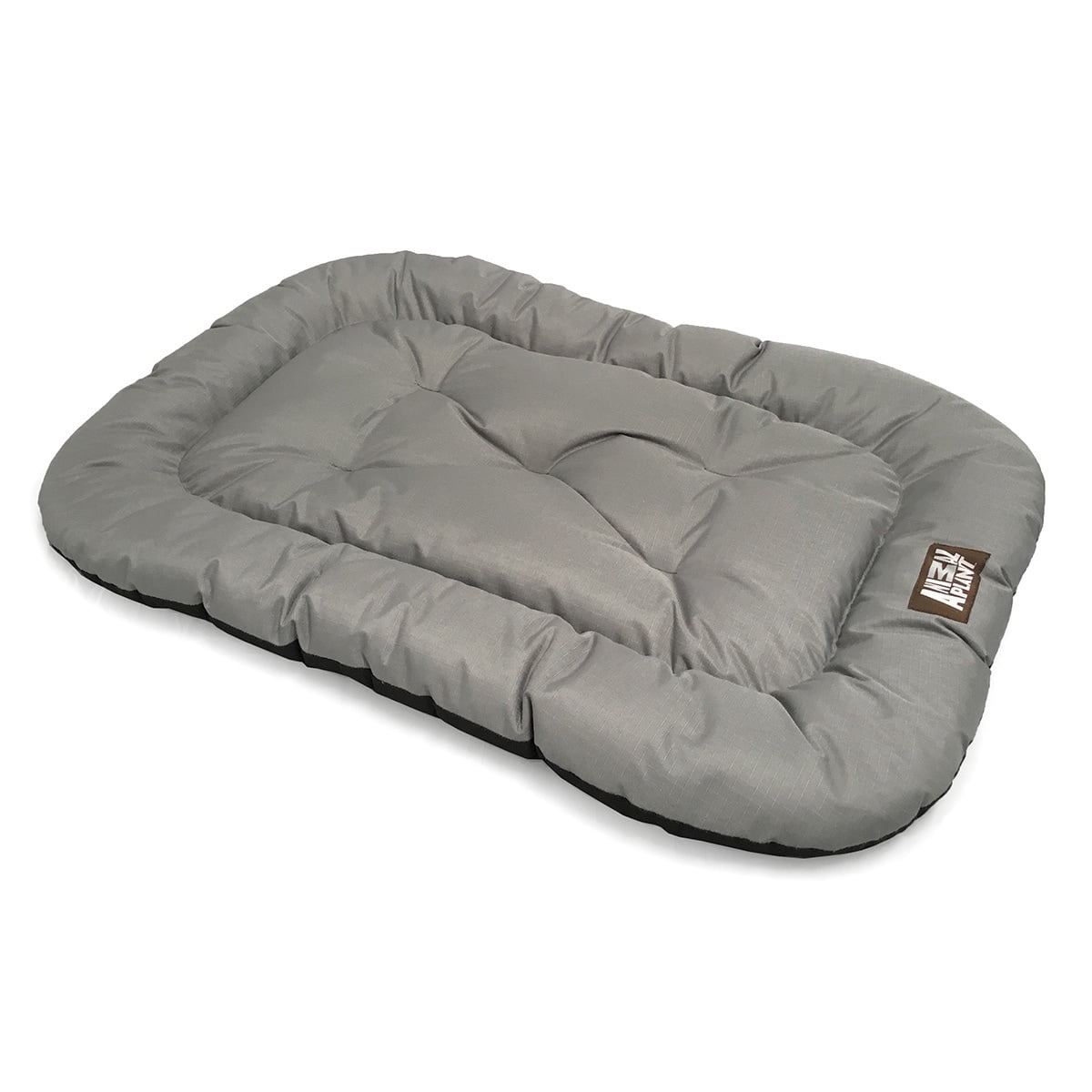 dachshund webbed feet