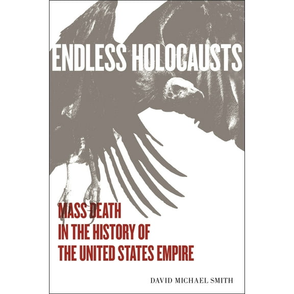 Endless Holocausts: Mass Death in the History of the United States Empire (Hardcover)