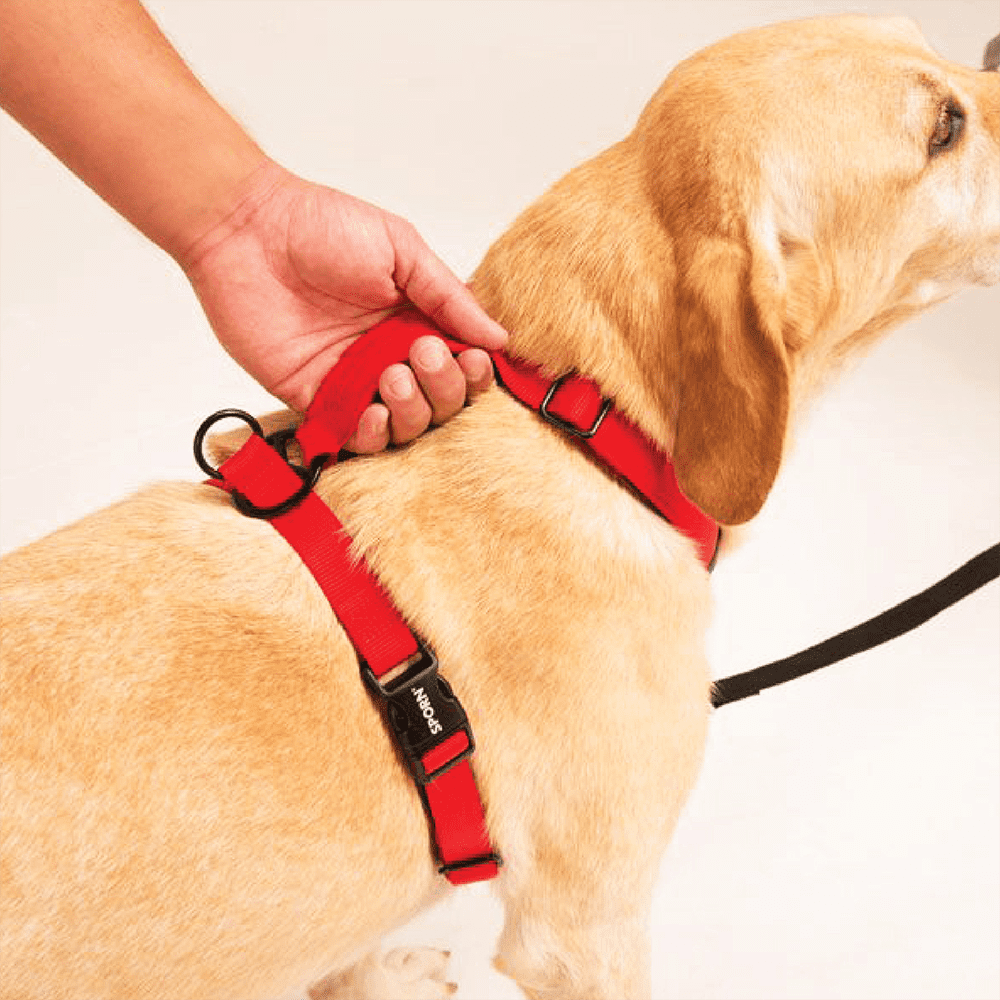 SPORN Ultimate Control Harness