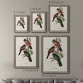 thumbnail image 4 of Elegant Trogons V - Premium Framed Canvas 2 Piece Set - Ready to Hang, 4 of 7