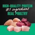 thumbnail image 6 of Cesar Loaf In Sauce Poultry Flavors Adult Wet Dog Food Variety Pack, 3.5 Oz Trays, 24 Ct., 6 of 14