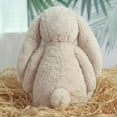 thumbnail image 5 of 9.8" Soft Stuffed Easter Bunny Plush Toy, Cute Floppy Eared Rabbit Pillow, Sweet Plushie for Easter Basket Stuffers & Spring Home Decor, Perfect Gift for All Ages (Creamy Oatmeal Beige), 5 of 8