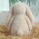 thumbnail image 4 of Juguetes de peluche de conejito de Pascua de 9,8 pulgadas, color verde salvia, peludos y holgados, animales de peluche de conejito de color sólido, peluches de eucalipto difusos para decoración,Beige, 4 of 8
