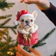 thumbnail image 4 of Adornos navideños 3D Bulldog/Tortuga Adornos colgantes para árbol de Navidad para fiestas de invierno Decoración del hogar, 4 of 7