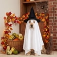 thumbnail image 5 of Ghost Cape Witch Hat Outfit For Dogs, Spooky Halloween Role Play Clothes, Party Photo Costume Apparel, Festive Pet Dress Up Accessory L, 5 of 6