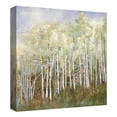 thumbnail image 4 of Masterpiece Art Gallery Necessary Change, Summer Birch By Danna Harvey Canvas Art Print 24" x 24", 4 of 4